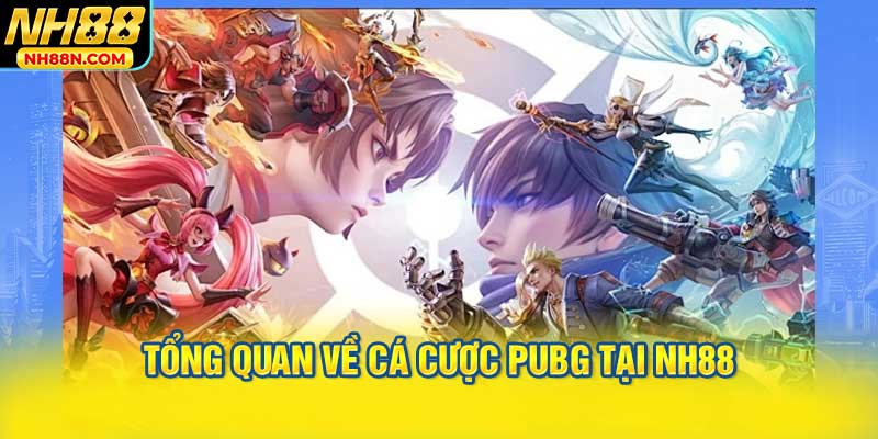 Tổng Quan Về Cá Cược PUBG Tại NH88