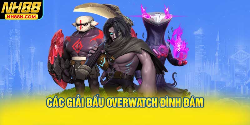 Các Giải Đấu Overwatch Đình Đám