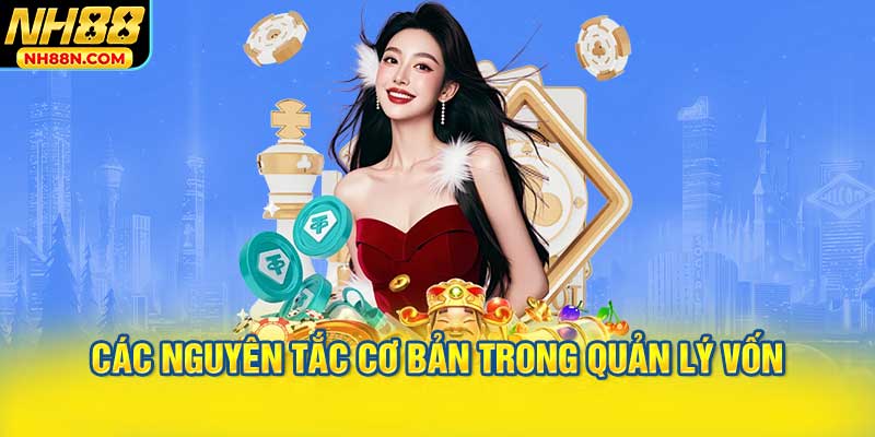 Các Nguyên Tắc Cơ Bản Trong Quản Lý Vốn